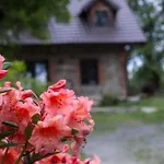 Ferienhaus Dum Na Polosamote Ve Vserubskem Prusmyku Všeruby