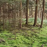 Dum Na Polosamote Ve Vserubskem Prusmyku Všeruby