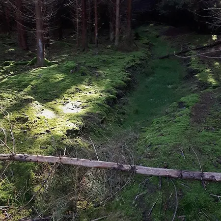 Feriehus Dum Na Polosamote Ve Vserubskem Prusmyku Všeruby