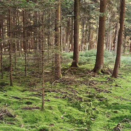 Dum Na Polosamote Ve Vserubskem Prusmyku Všeruby