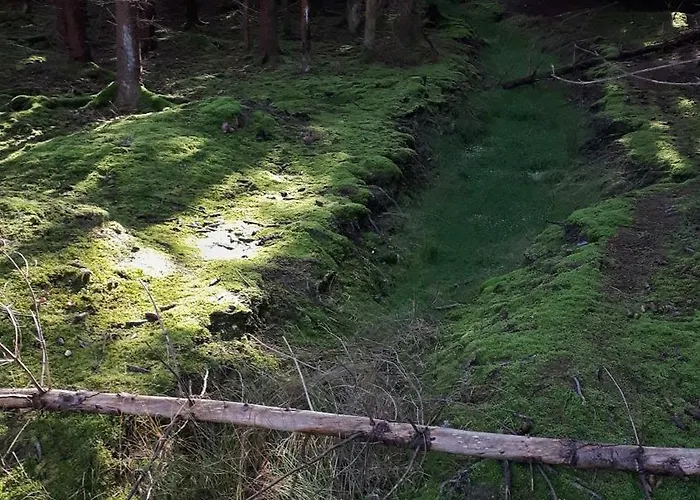 Feriehus Dum Na Polosamote Ve Vserubskem Prusmyku Všeruby