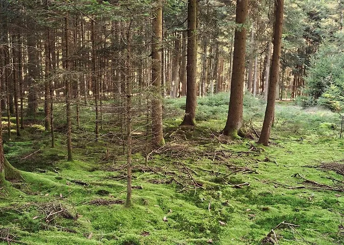 Dum Na Polosamote Ve Vserubskem Prusmyku Všeruby